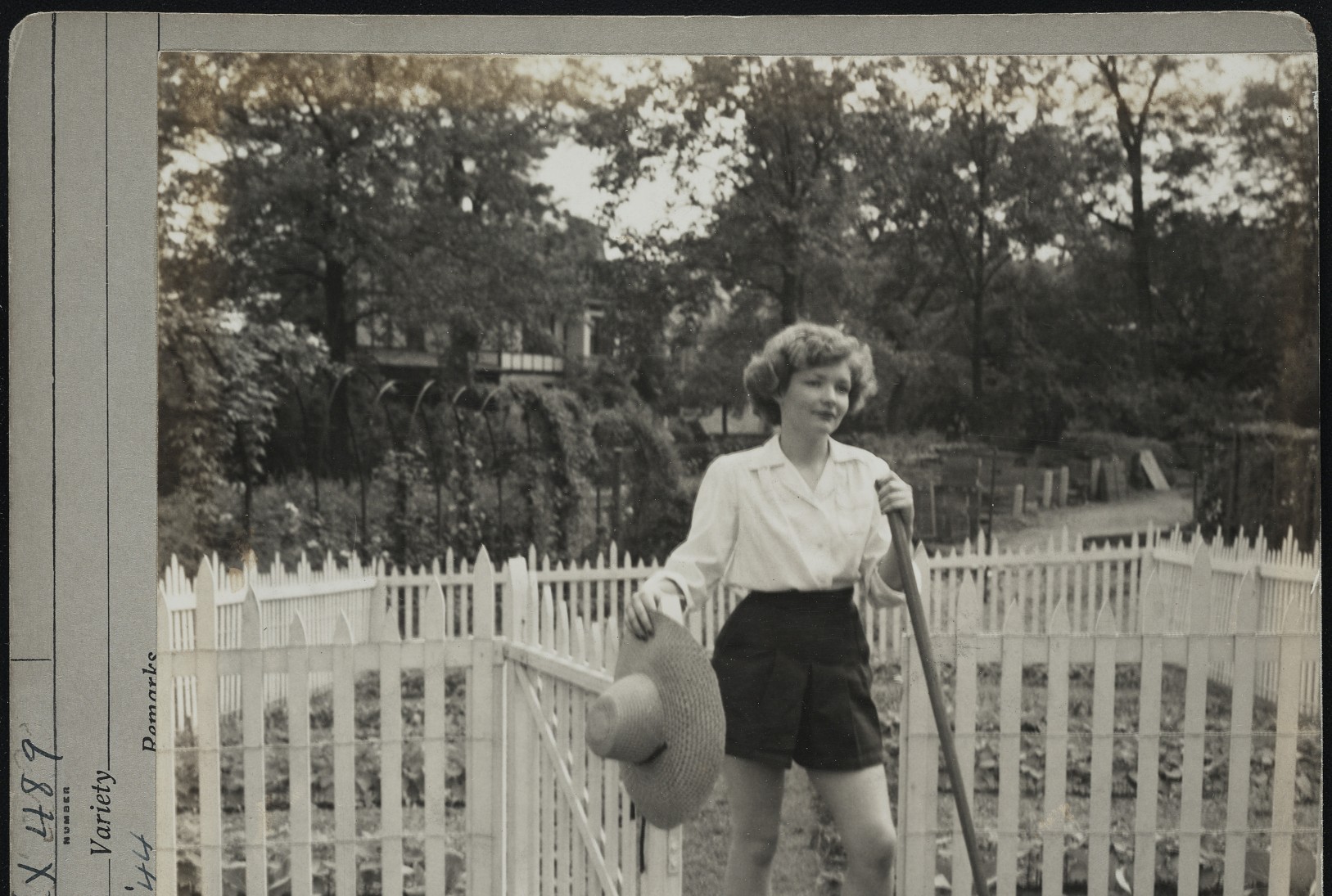 Vintage photo of woman holding a garden rake while opening gate in white picket fence surrounding a vegetable garden