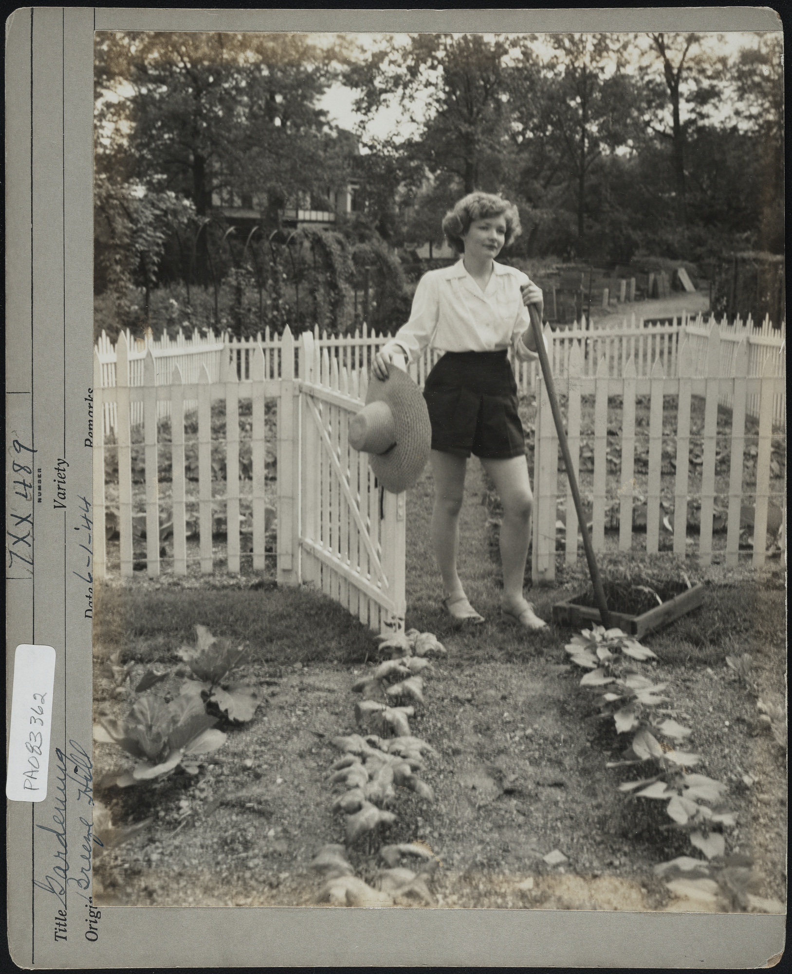 Black and white photo of a woman holding a garden rake while opening gate in white picket fence surrounding a vegetable garden