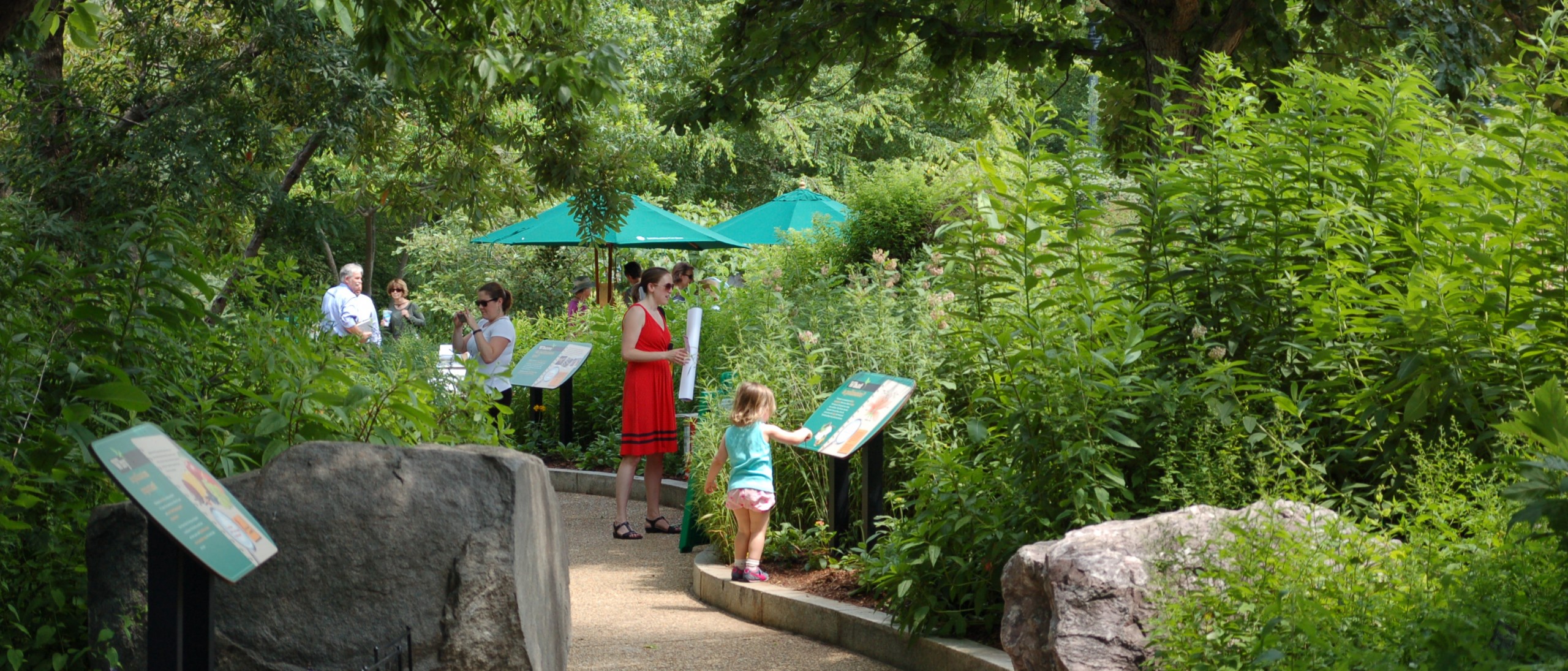 Young child and adult read sign in pollinator garden