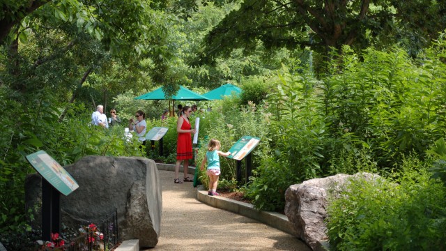 Young child and adult read sign in pollinator garden