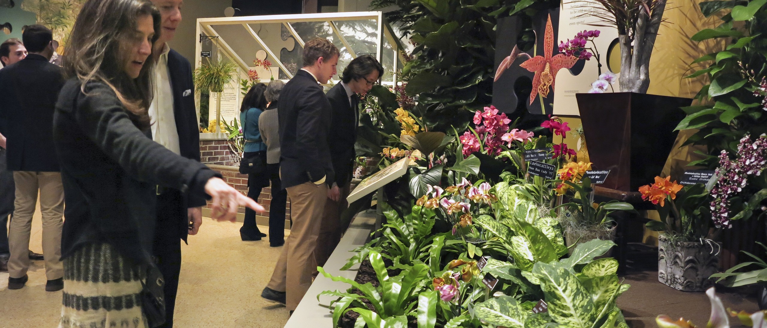 Visitors look at orchid planting