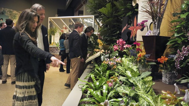 Visitors look at orchid planting