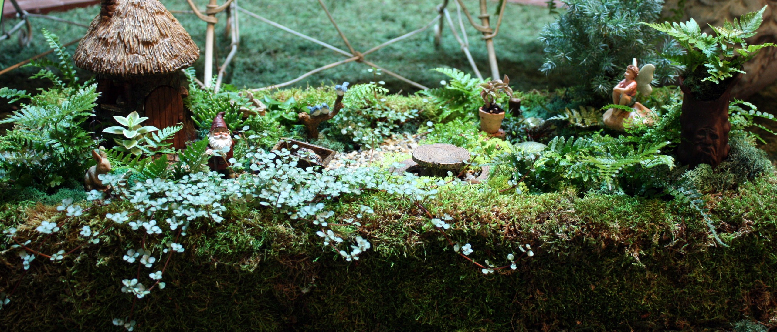 miniature garden with tiny gnome, fairy, and wheelbarrow figures