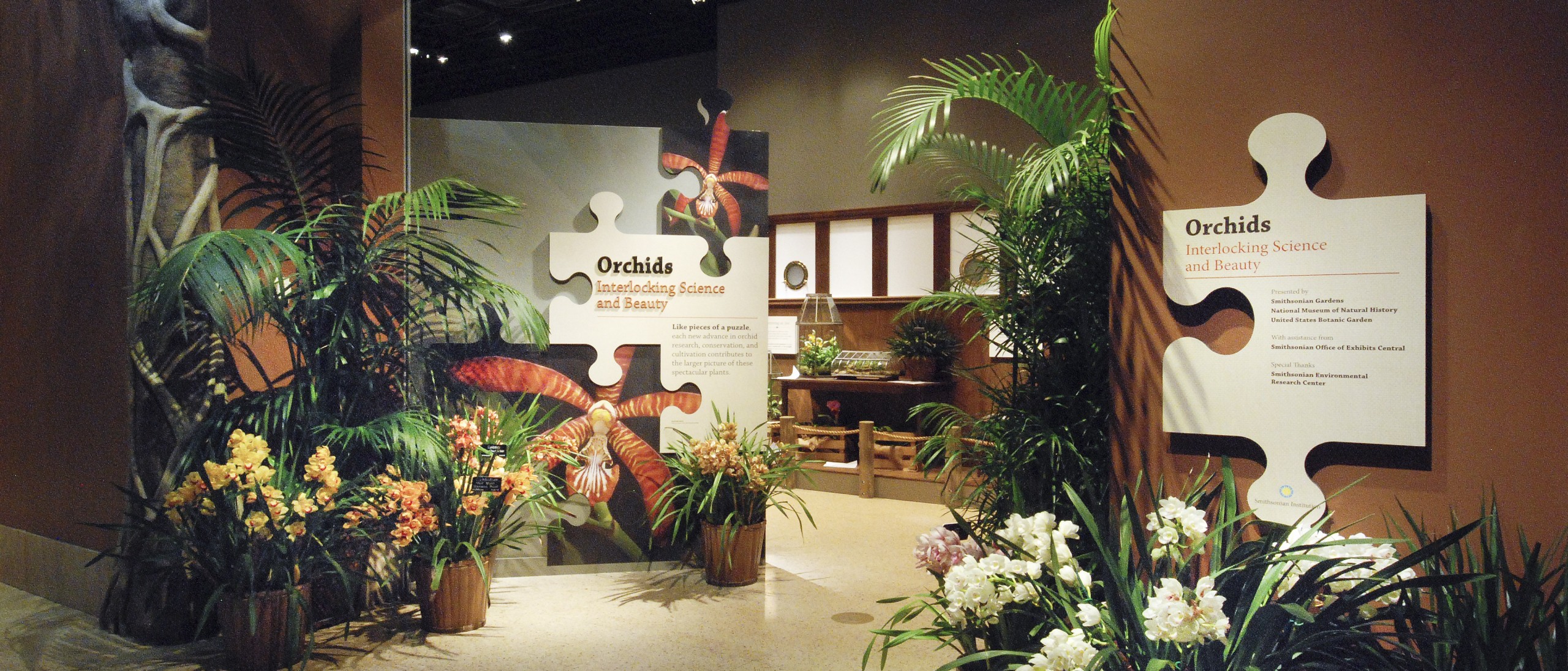 Entrance to Orchids: Interlocking Science and Beauty Exhibit featuring numerous yellow, red and white orchids in pots and exhibit introduction sign shaped like puzzel pieces