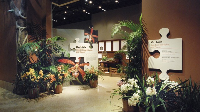 Entrance to Orchids: Interlocking Science and Beauty Exhibit featuring numerous yellow, red and white orchids in pots and exhibit introduction sign shaped like puzzel pieces