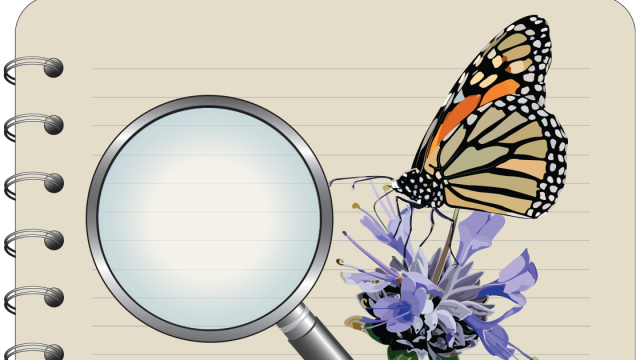 Butterfly on flower next to magnifying glass on lined paper