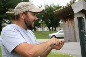 Greenhouse staff member accessing bird house