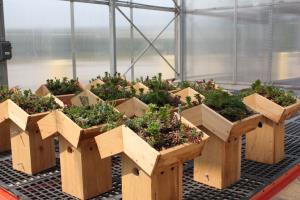 Green roof nesting boxes waiting to be installed at the Smithsonian Gardens greenhouses in Suitland, Maryland earlier this winter