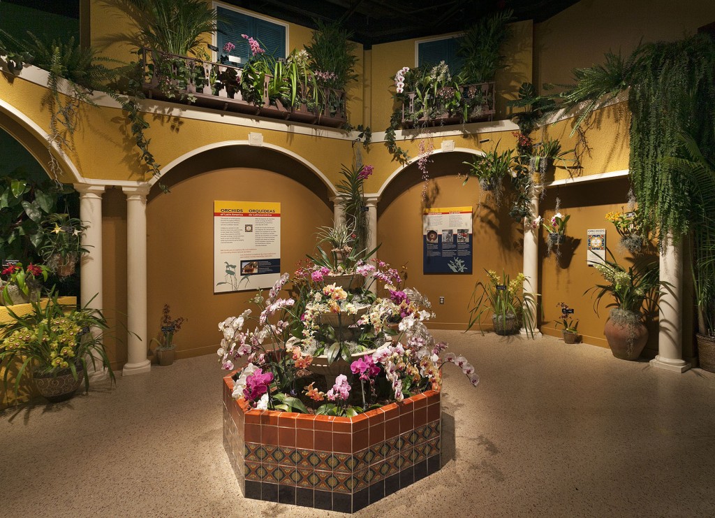 Smithsonian Gardens, Orchids Exhibit, Orchids of Latin America, 2013