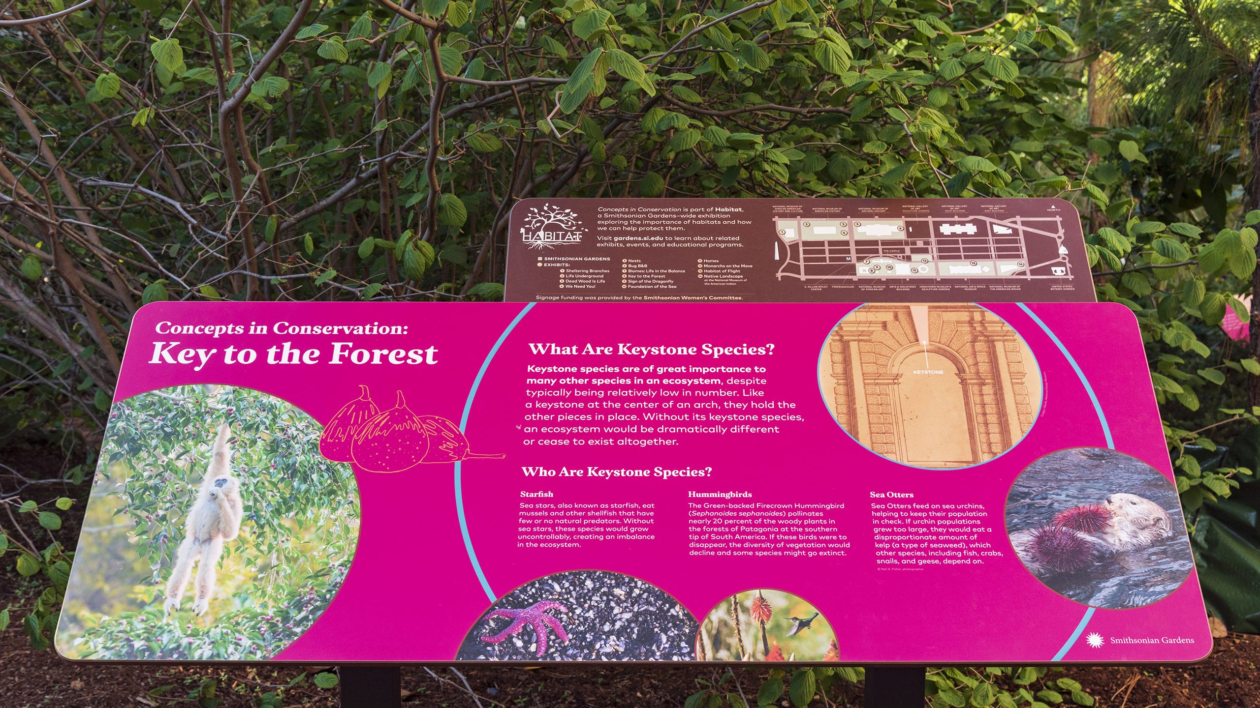 Habitat Exhibition, Concepts in Conservation, Key to the Forest in the Enid A. Haupt Garden