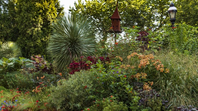 Homes in the Mary Livingston Ripley Garden