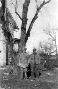 The Catalpa Tree on Napientek Homestead, Franklin, Wisconsin