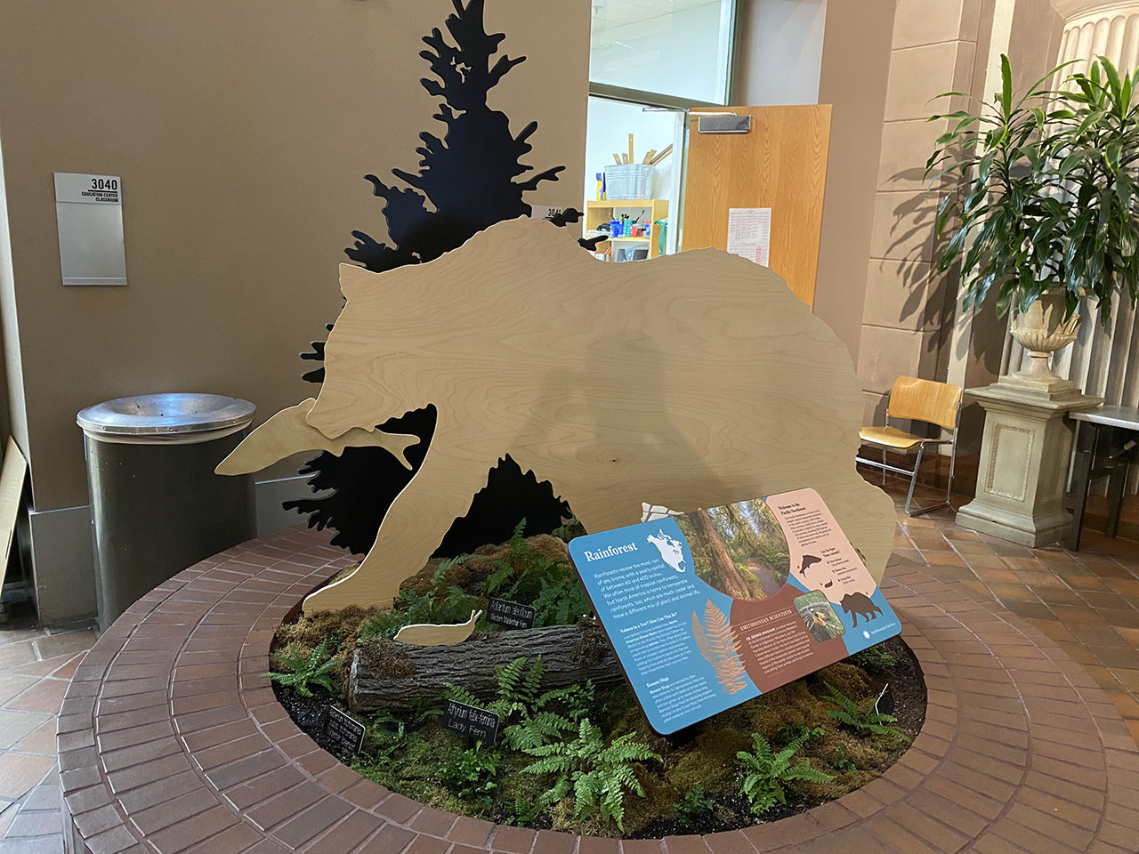 Temperate rainforest biome display showing a bear eating a salmon, the decomposition of which will nourish the soil, allowing plant life to thrive and ferns native to the Pacific Northwest.