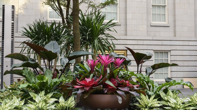 Robert and Arlene Kogod Courtyard