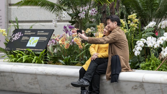 Past Exhibition in the Robert and Arlene Kogod Courtyard