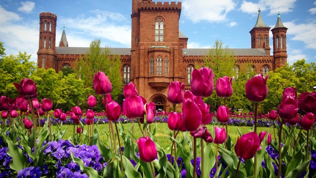 Spring Flowers Blooming on the Parterre. Castle in the background.