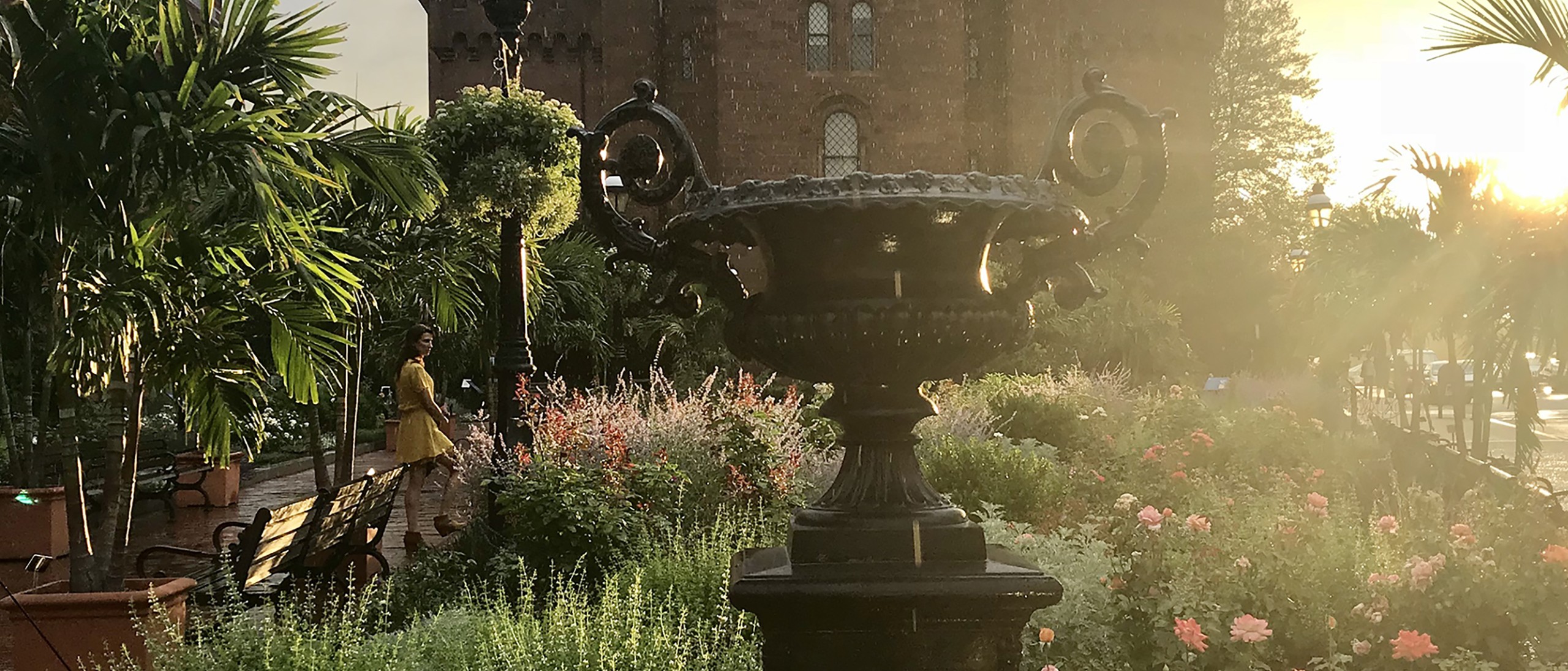 Rose Garden 2020 Solstice Sunset
