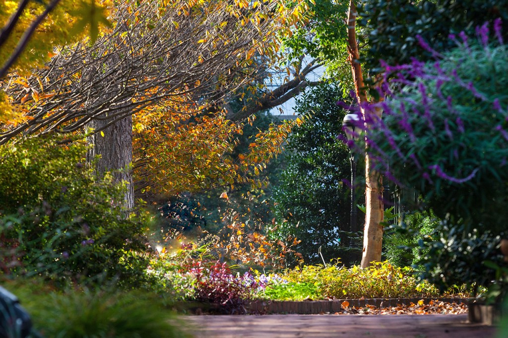 Mary Livingston Ripley Garden in the fall