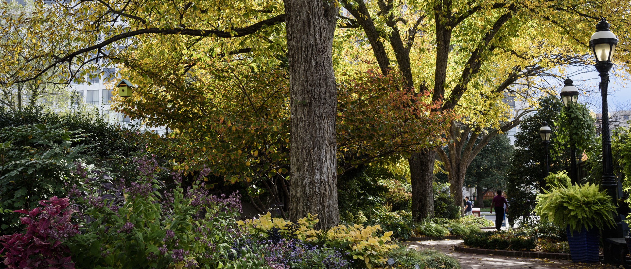 Mary Livingston Ripley Garden