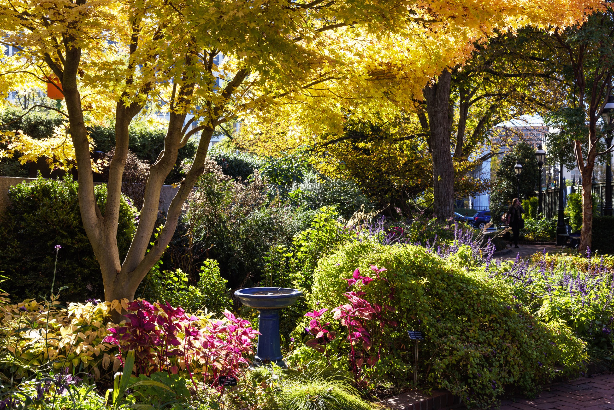 Engage. Inform. Inspire. - Smithsonian Gardens