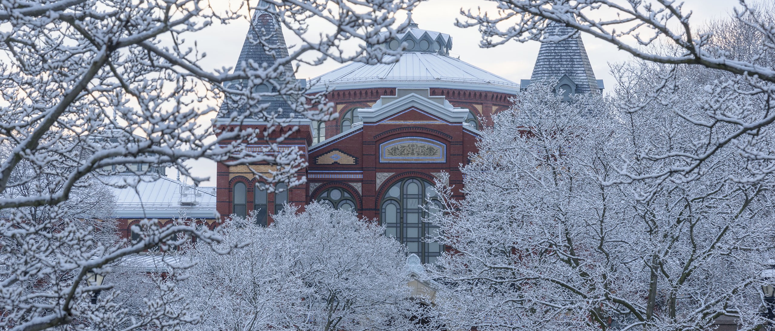 Snow on the trees looking toward teh Arts and Industries Building from the Enid A. Haupt Garden