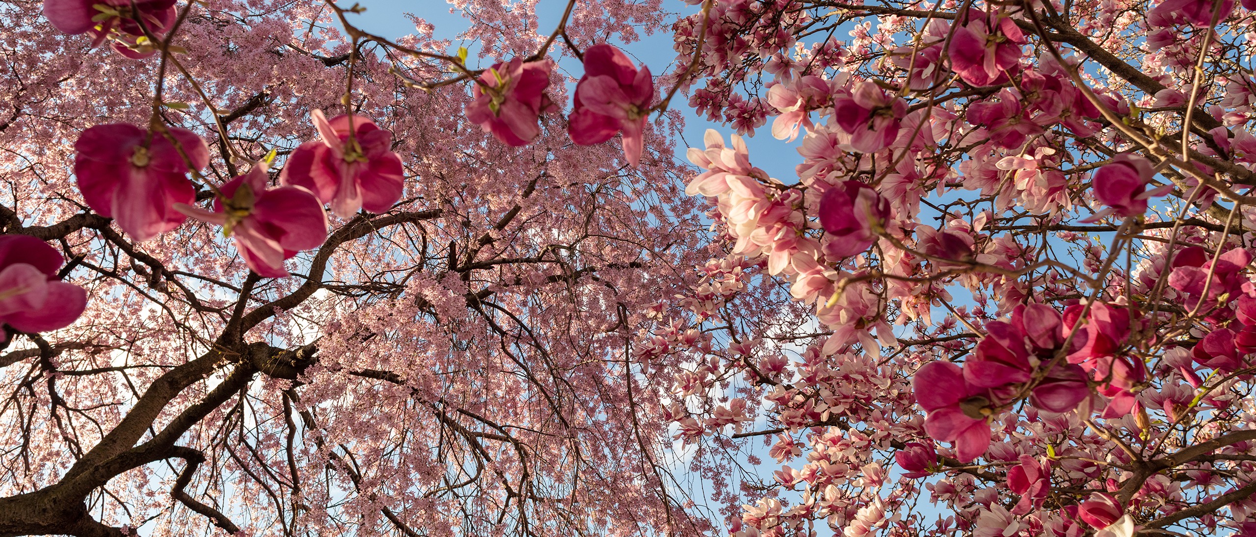 Under One Sky by Hazel Arnold