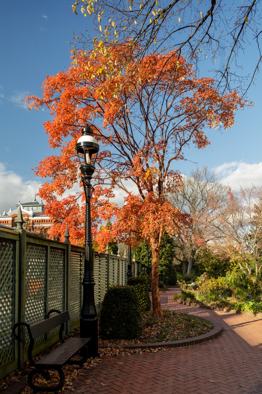 Arbor Day Tree Planting - Smithsonian Gardens