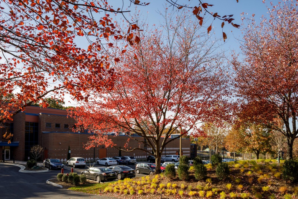 Anacostia Community Museum Landscape - Smithsonian Gardens