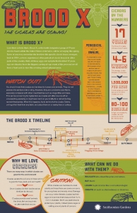 Cicadas, BroodX Poster