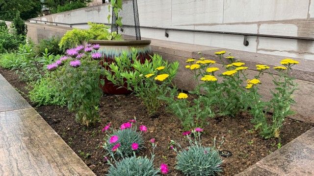 National Air and Space Museum garden