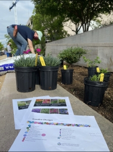 NASM Space Garden and installation of perennials