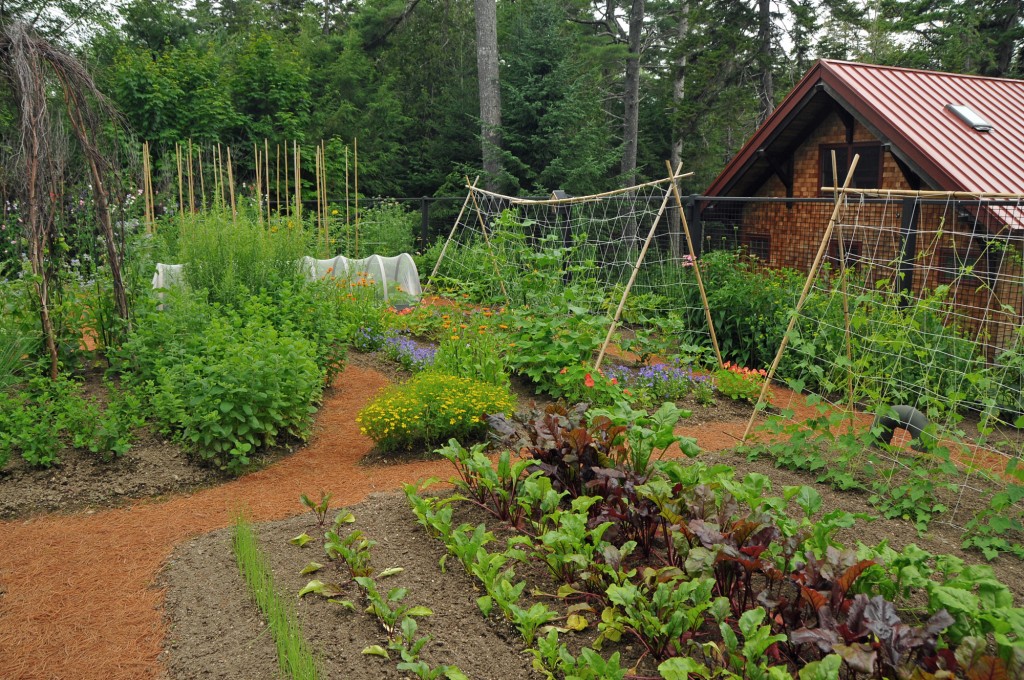 Long Pond Garden, Mount Desert, ME. 2017. Lawrie Harris, photographer. Smithsonian Institution, Archives of American Gardens, The Garden Club of America Collection.