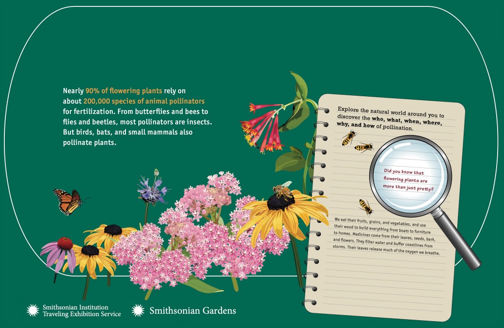 Pollination Posters