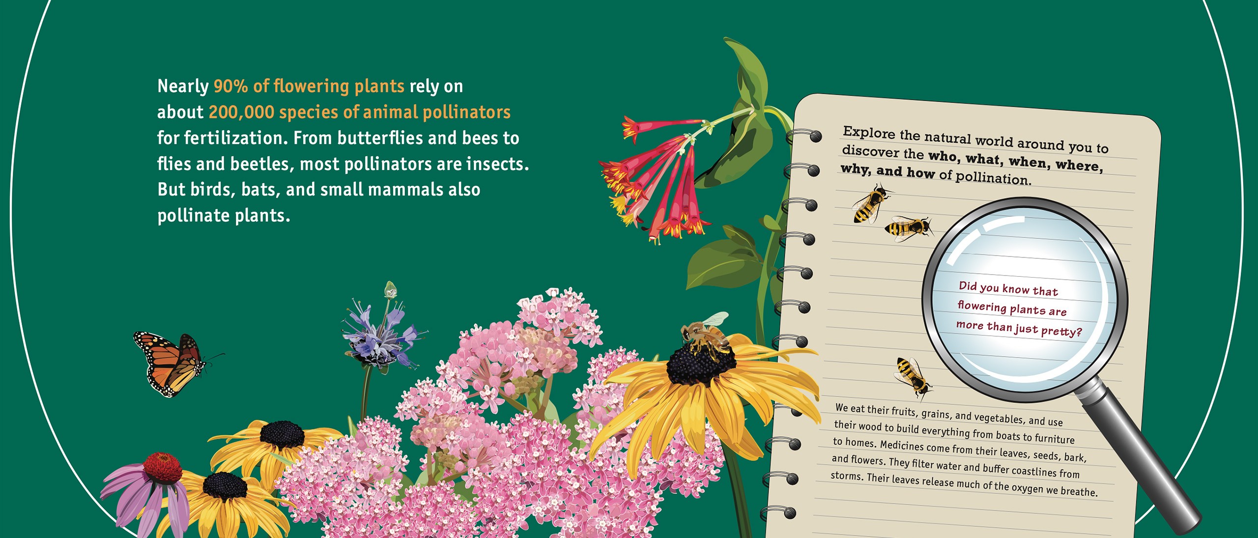 Pollination Posters