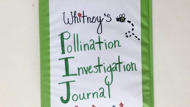 Whitney's Pollination Investigation Journal