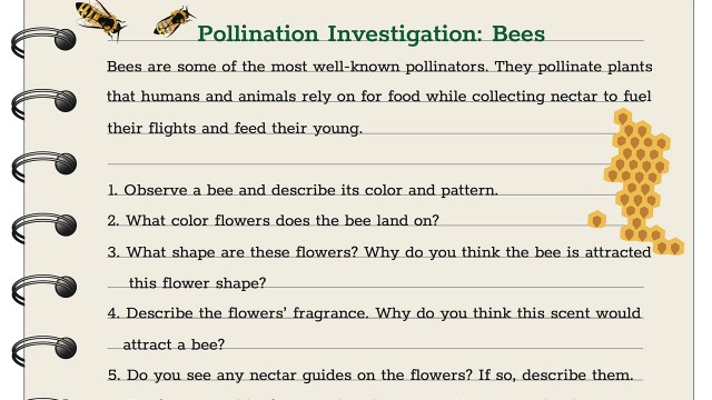 Pollination Investigation Journal