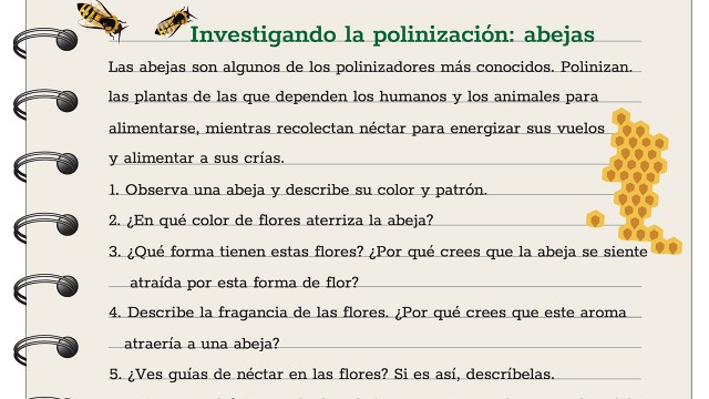 Pollination Investigation Journal Spanish