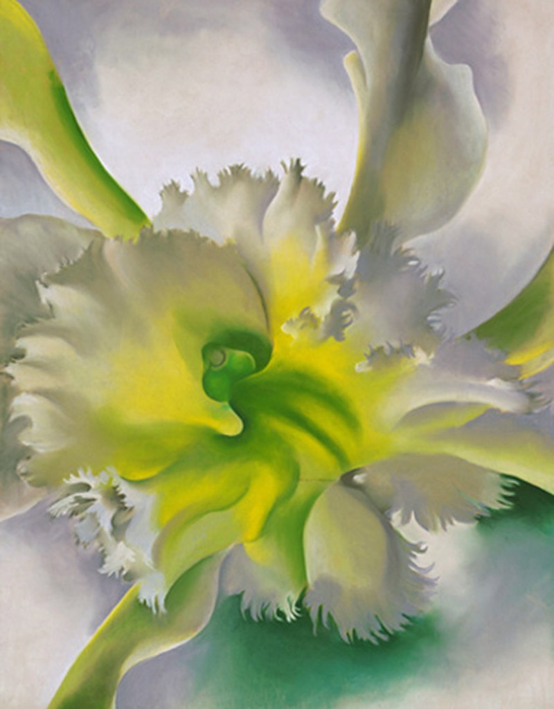 Art Inspired by Orchids - Smithsonian Gardens