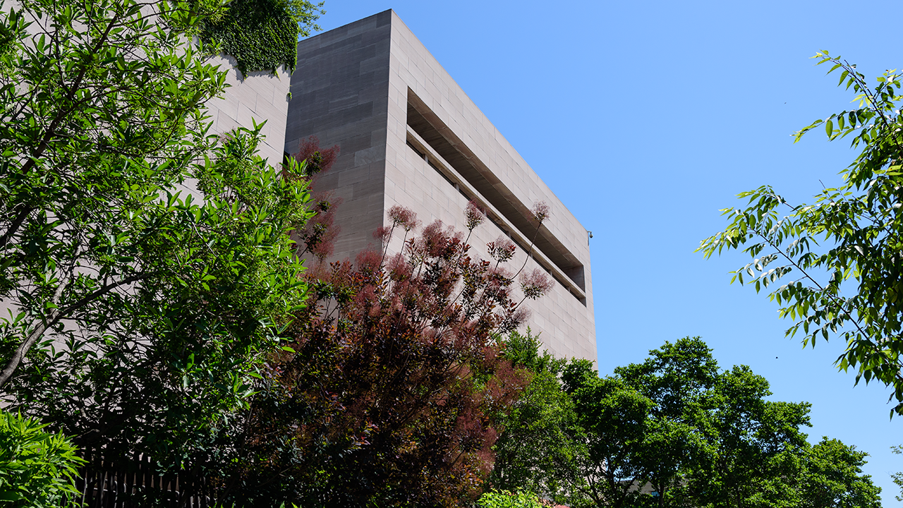 View of concrete building from behind trees