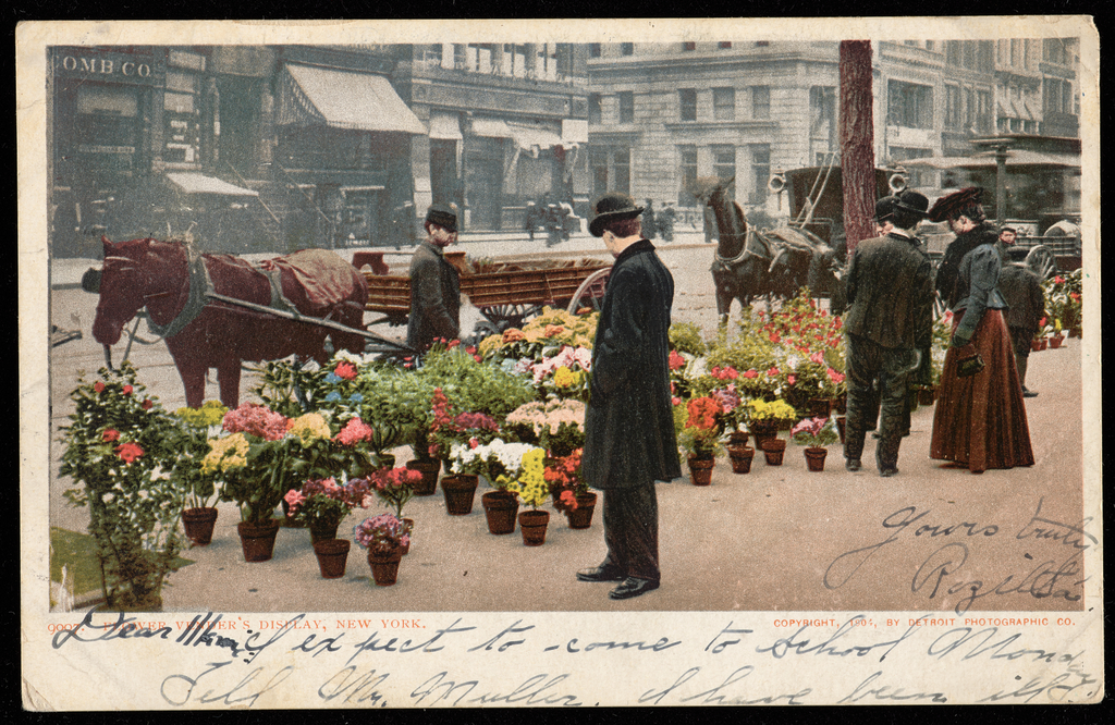 Postcard of flower vendors in 1905