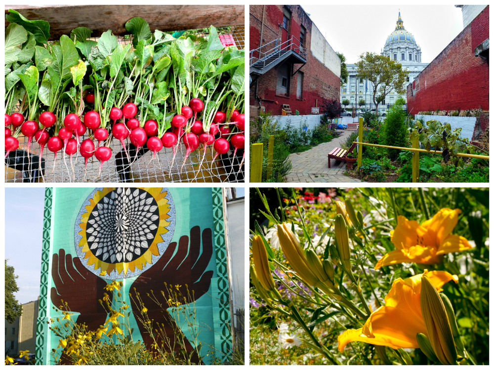 Collage of four gardens