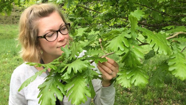 Woman holding a tree branch with leaves