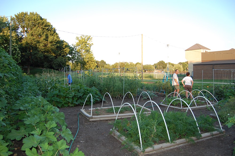 Garden beds next to sports field