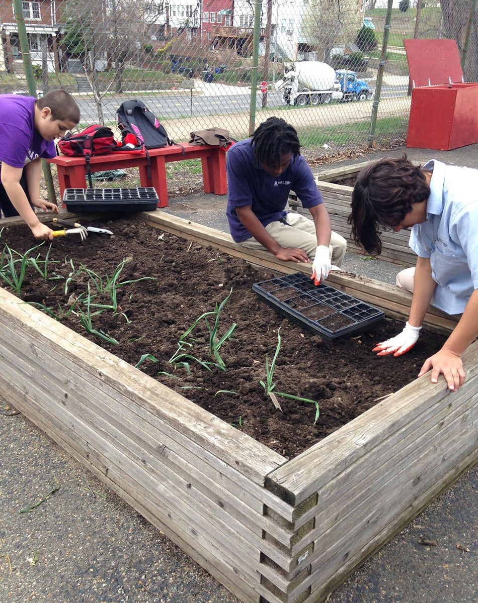 Three teenagers planting seedlings in bare dirt