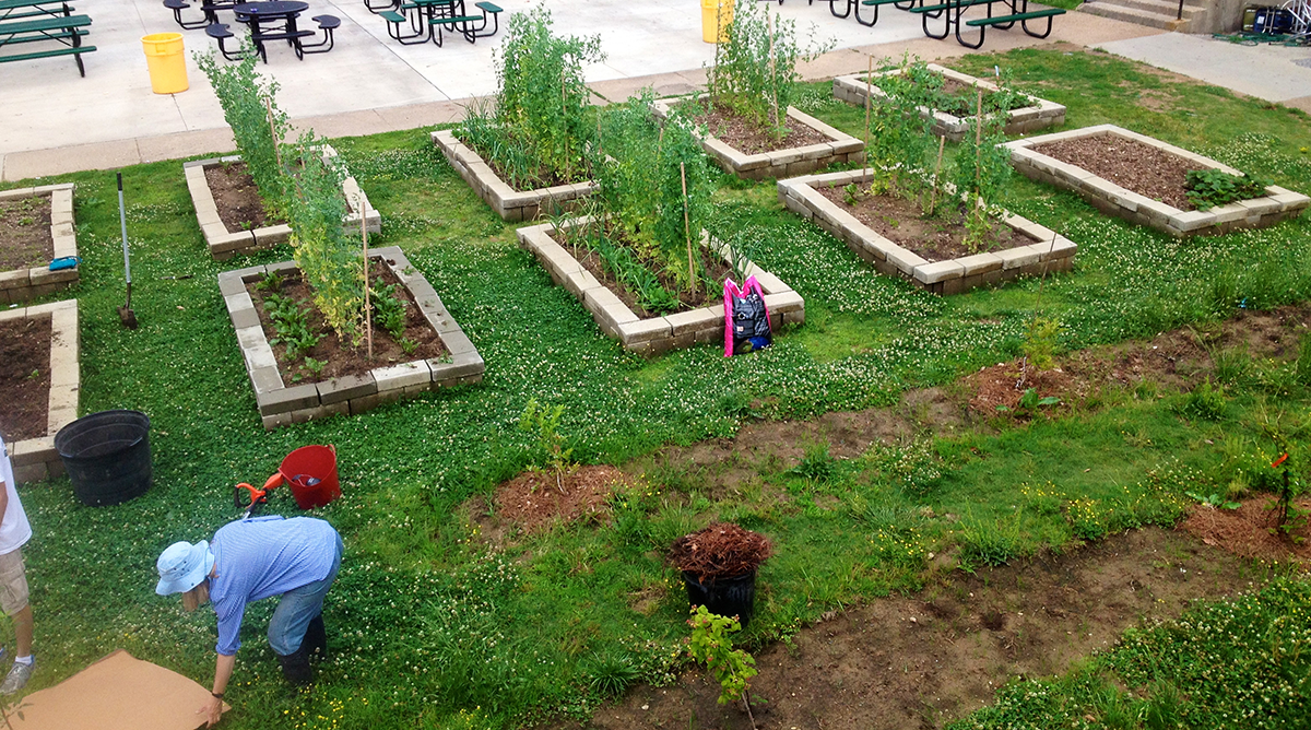 Person in bucket hat working near raised garden beds