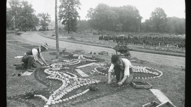 Two men crouching to arrange seedlings in an elaborate design