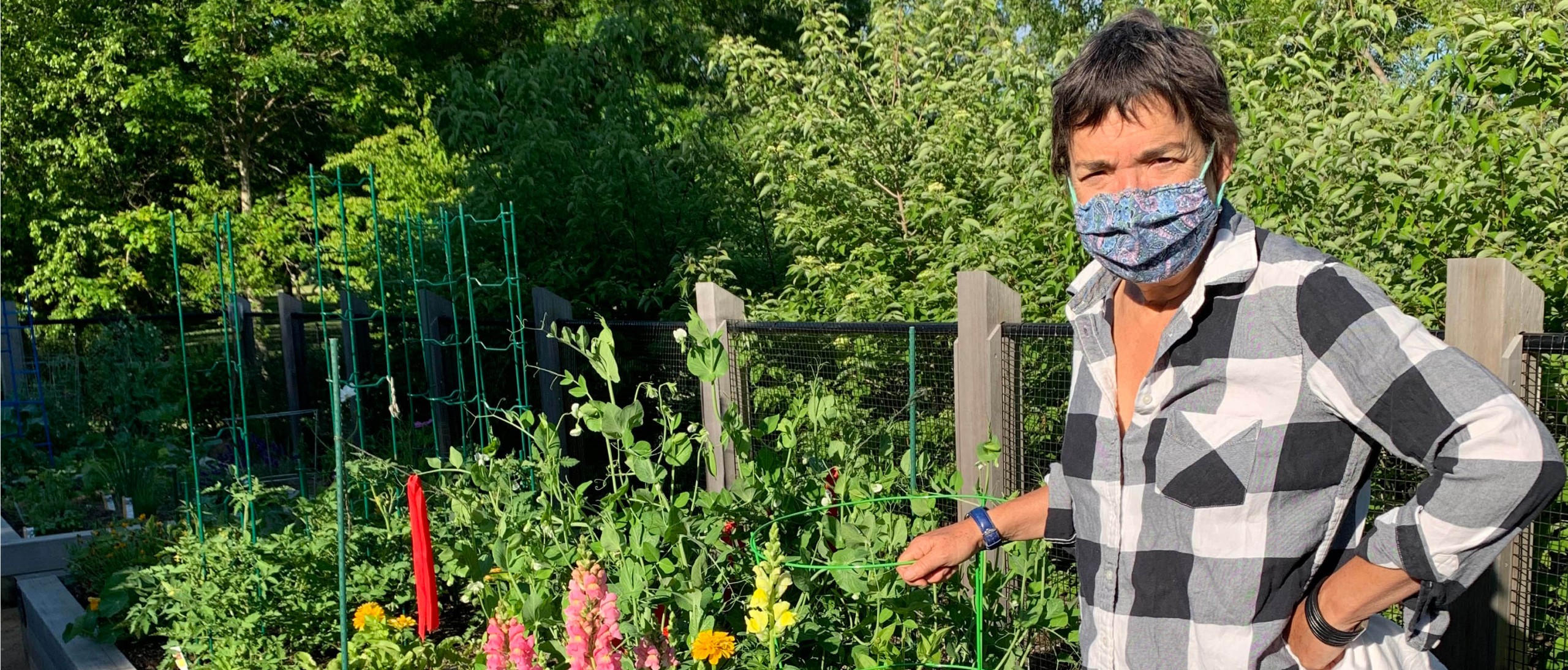 Person in cloth mask with hand on garden fence