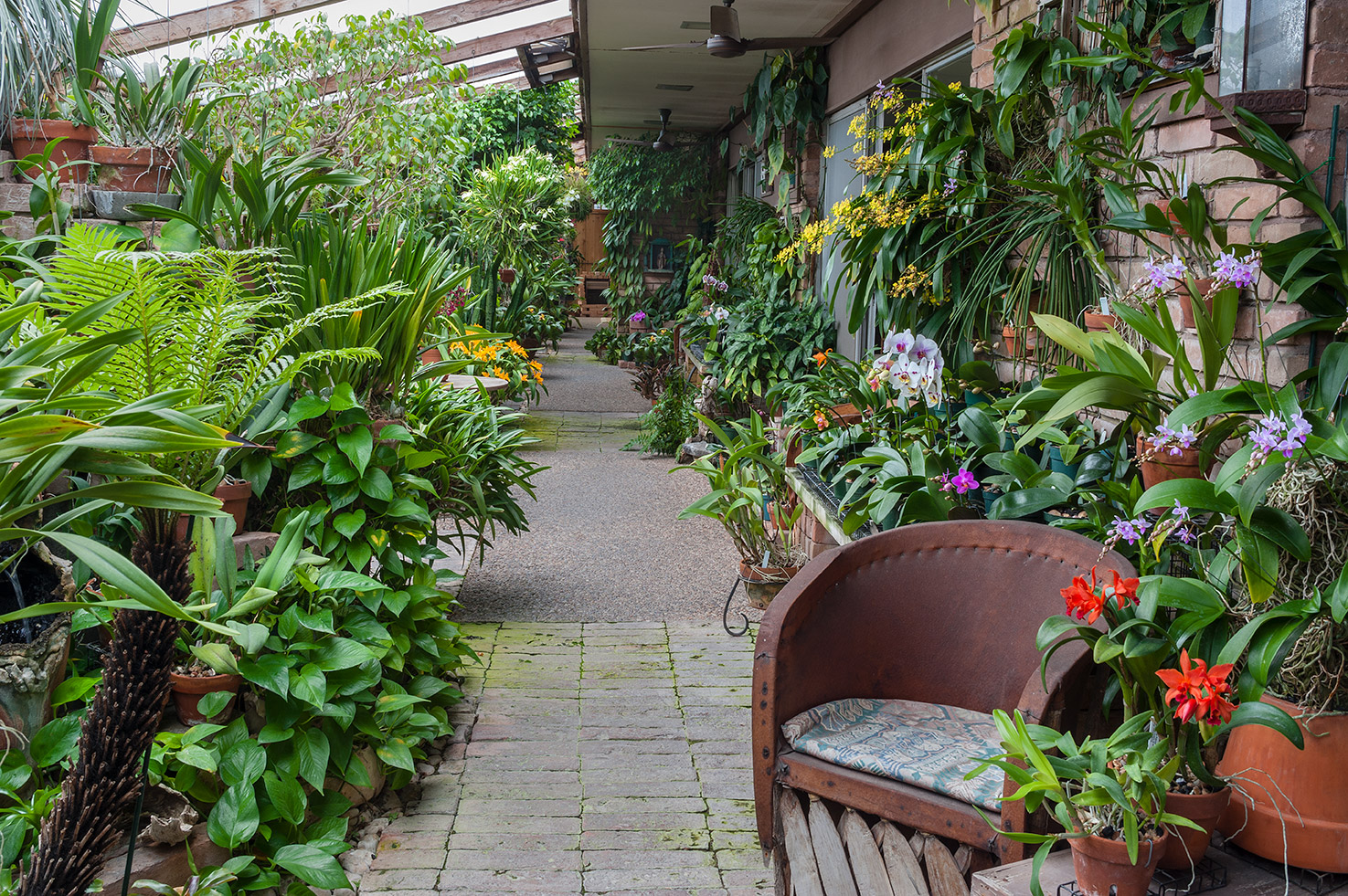 garden patio