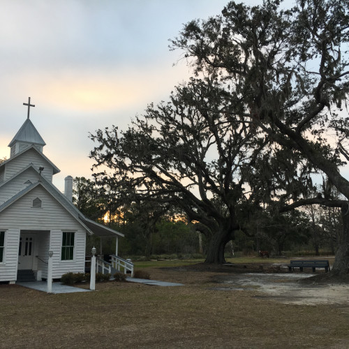 Live Oaks St Lukes Church Sapelo Island McNish