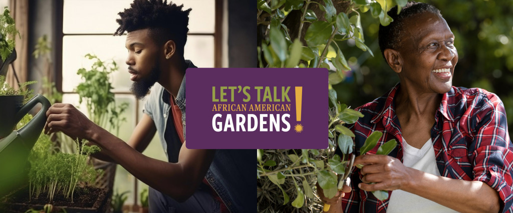 Let's Talk African American Gardens banner